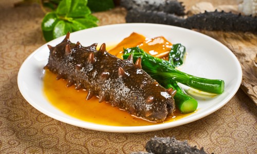 野生猪肉与圈养猪肉的区别网- 野猪肉和普通猪肉哪个贵知识,分享圈养野猪肉多少一斤