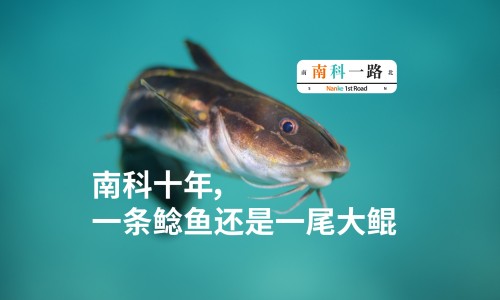 野猪肉和普通猪肉哪个贵-野生猪肉与圈养猪肉的区别网- 野猪肉和普通猪肉哪个贵知识,分享圈养野猪肉多少一斤
